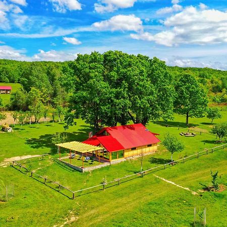 Вилла Casuta Din Stejari-Transalpina Новач-Стрэйни Экстерьер фото